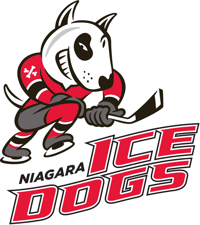 Niagara IceDogs 2007 08-Pres Primary Logo vinyl decal